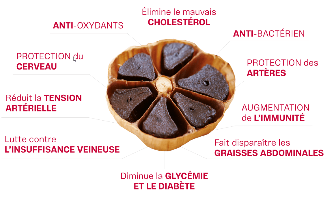 Ail Noir