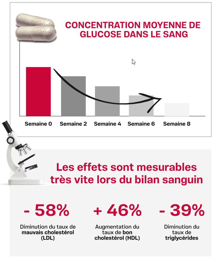 Biland sanguin