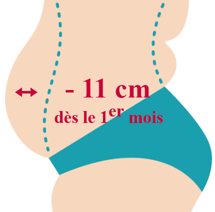 Graisse abdominale